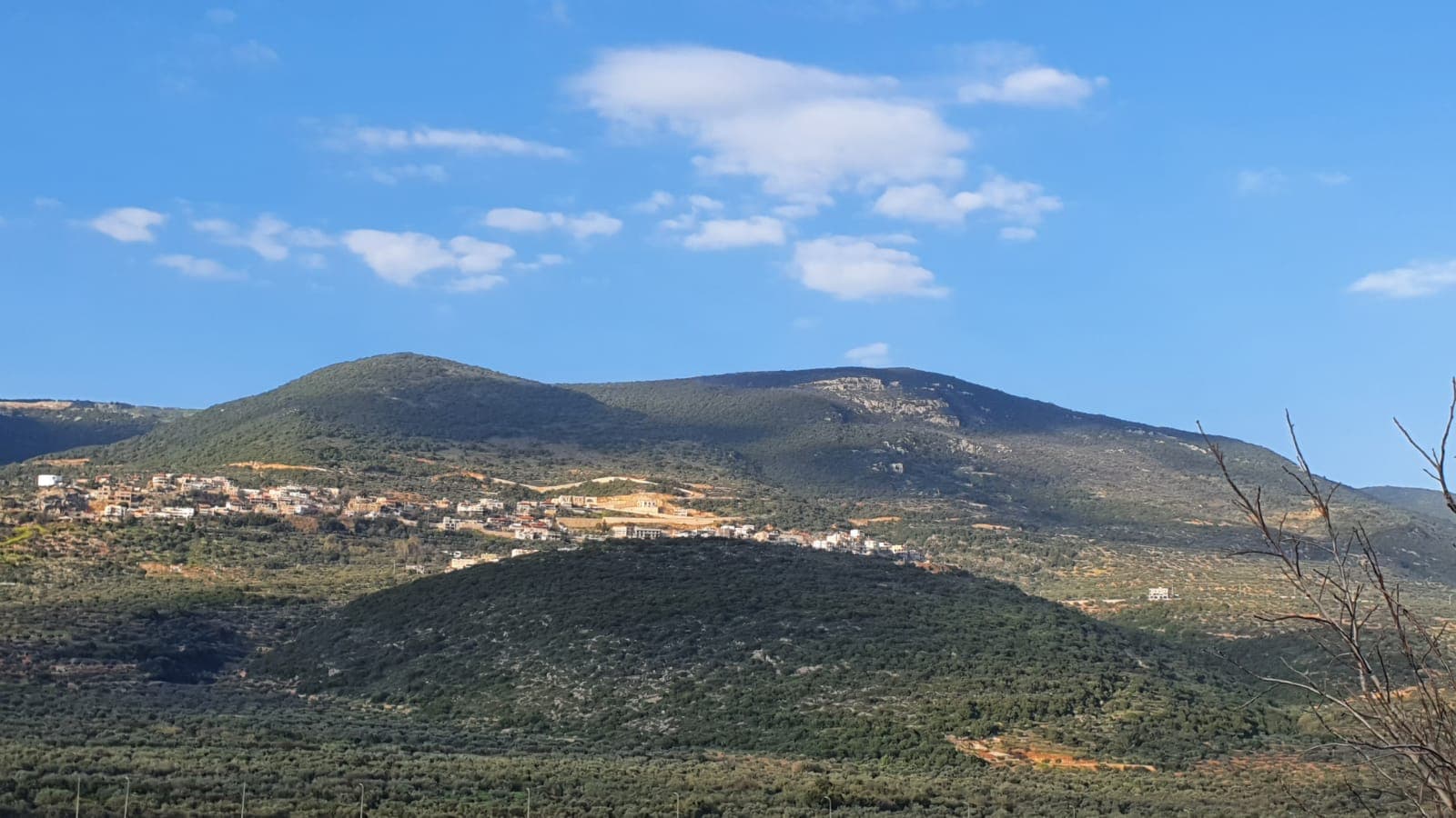 הר ארי