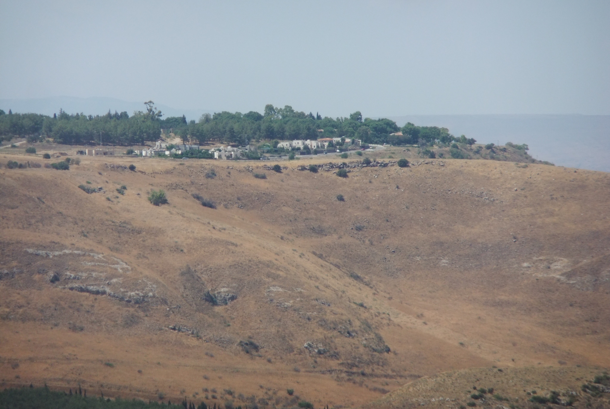 מצפה השלום