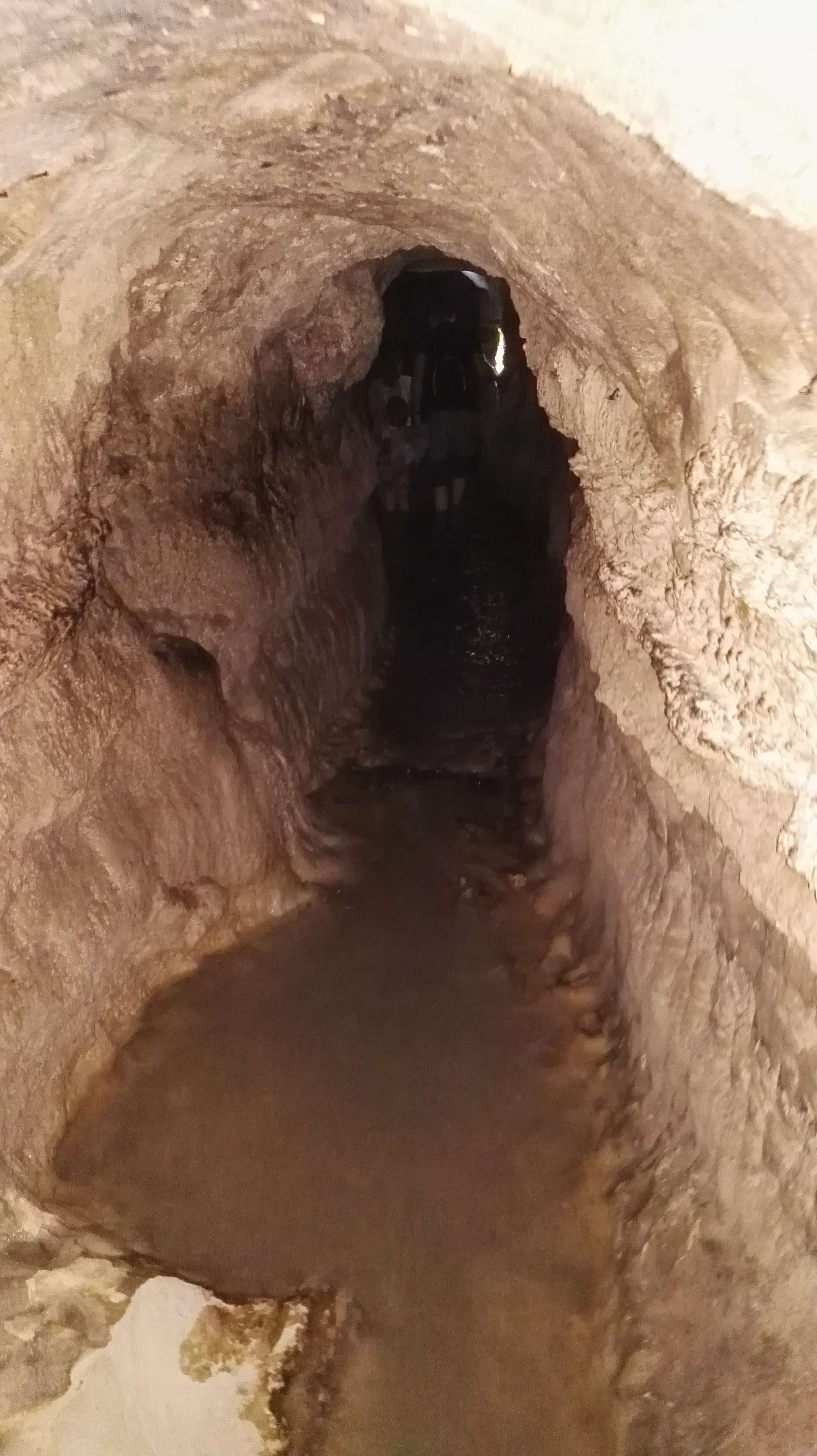 נקבת מי קדם