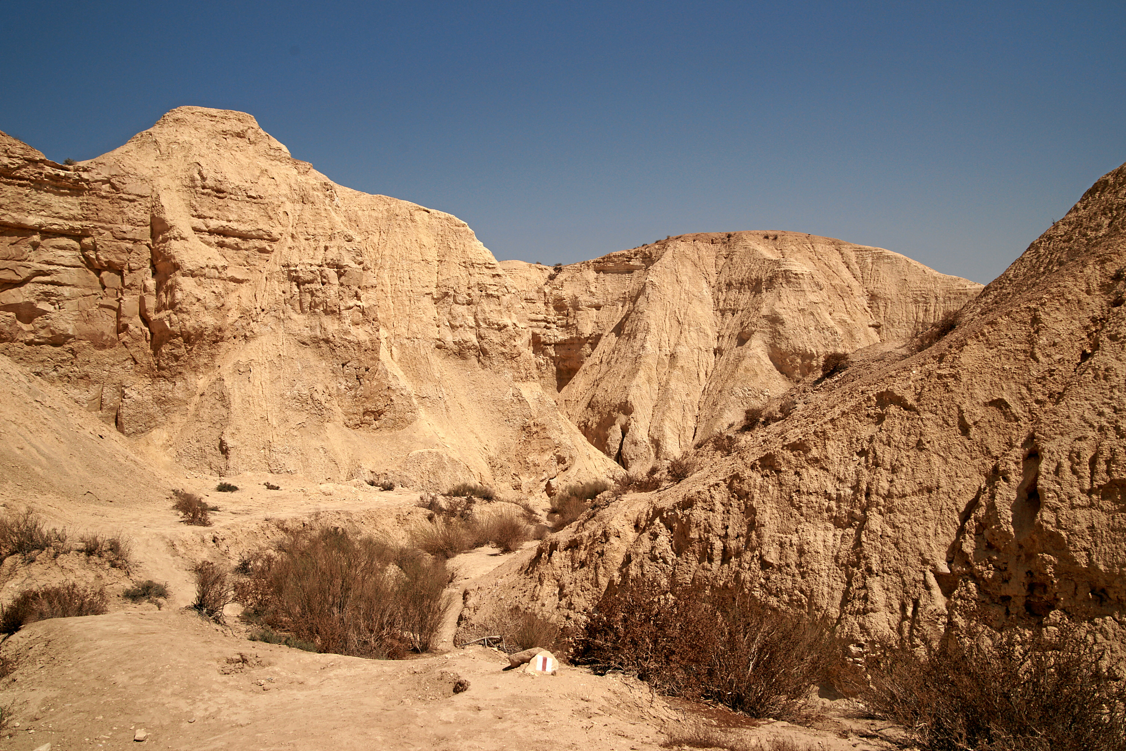 נחל חווארים במכתש רמון
