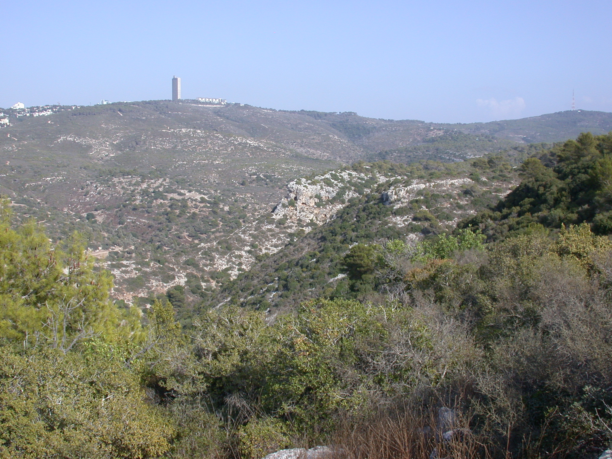נחל גלים
