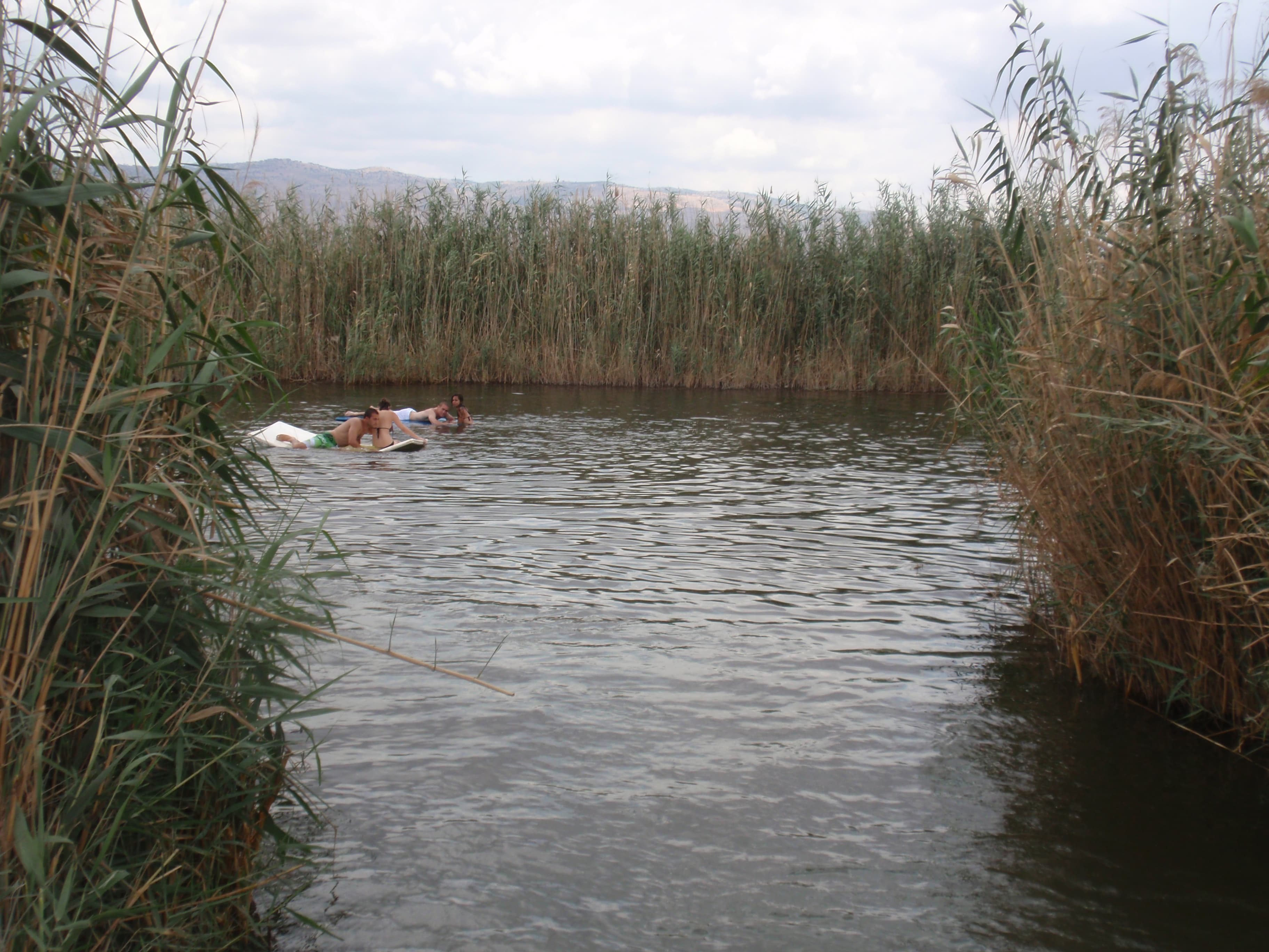 עין סוכות
