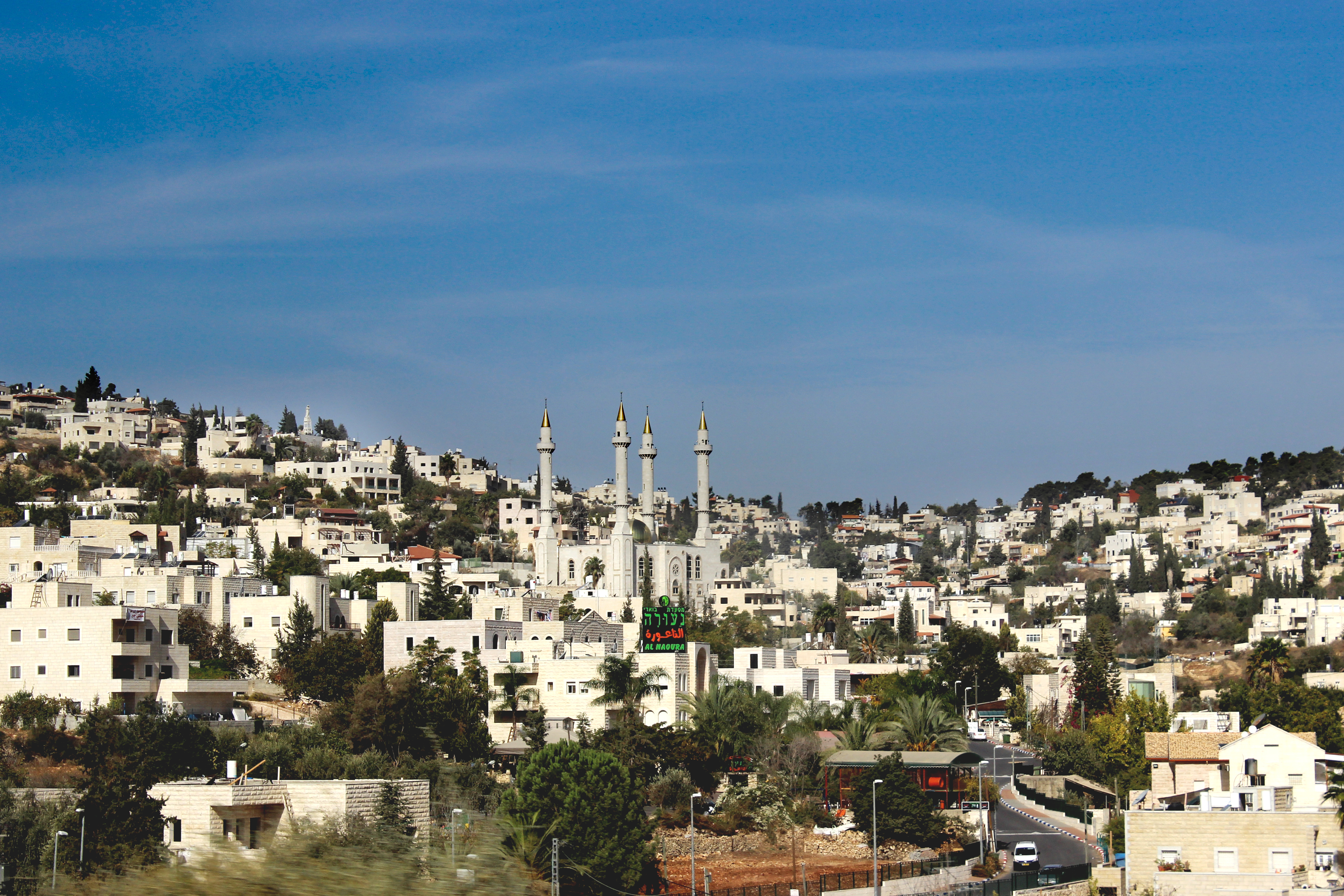 אבו גוש