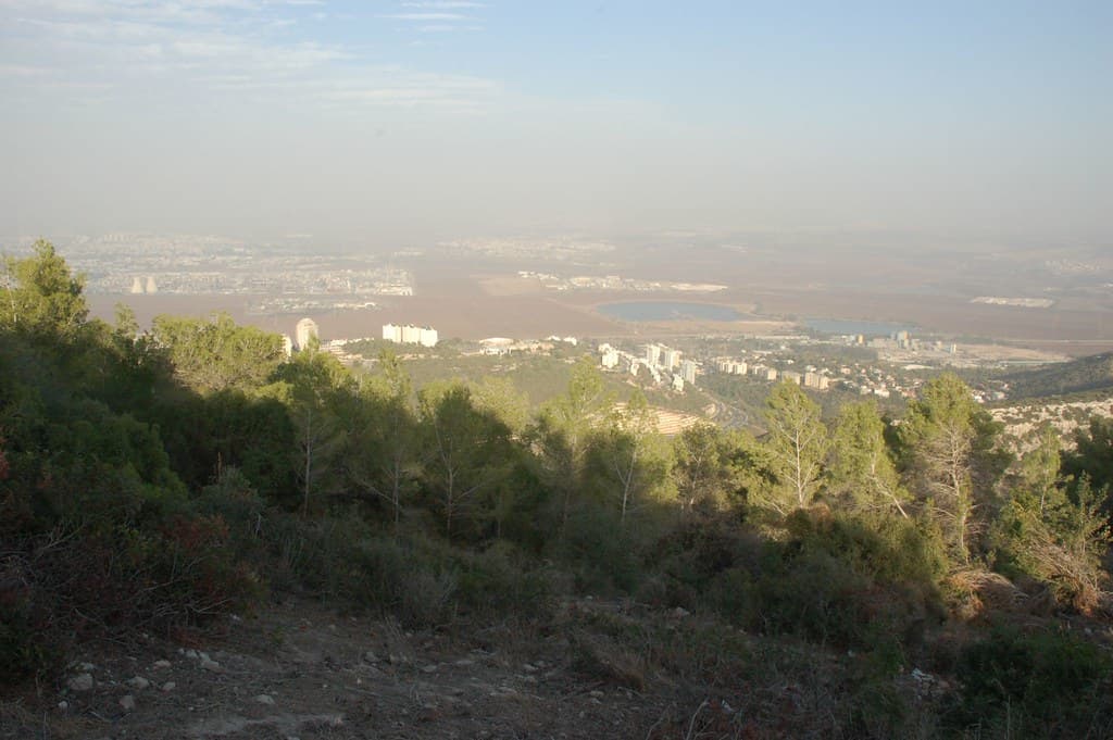 פארק נשר