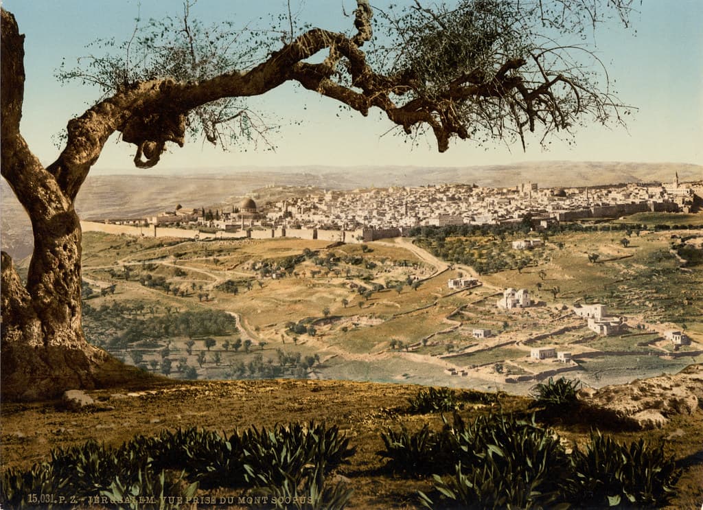 הר הצופים