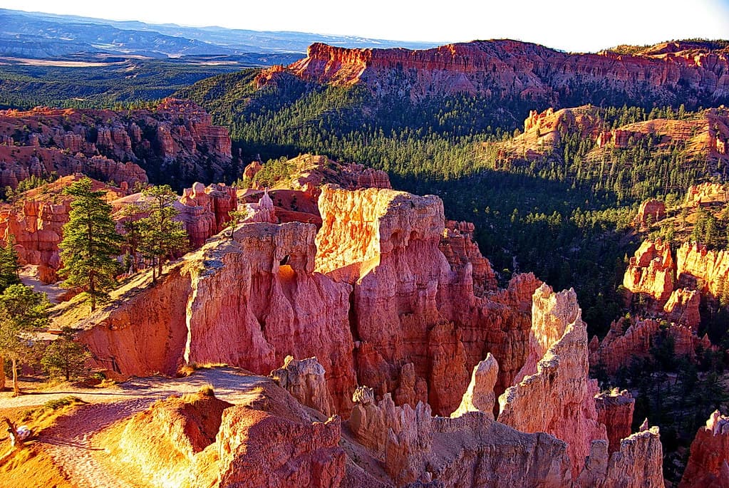 ברייס קניון