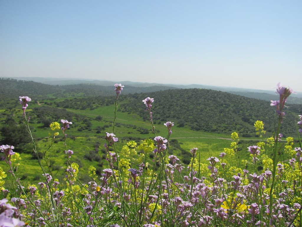 גן לאומי תל לכיש