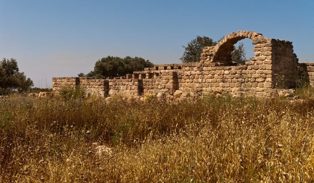 רמת הנדיב
