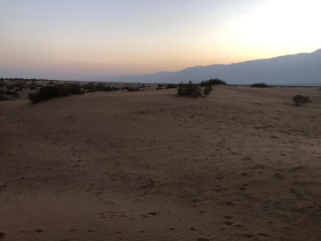 חולות סמר