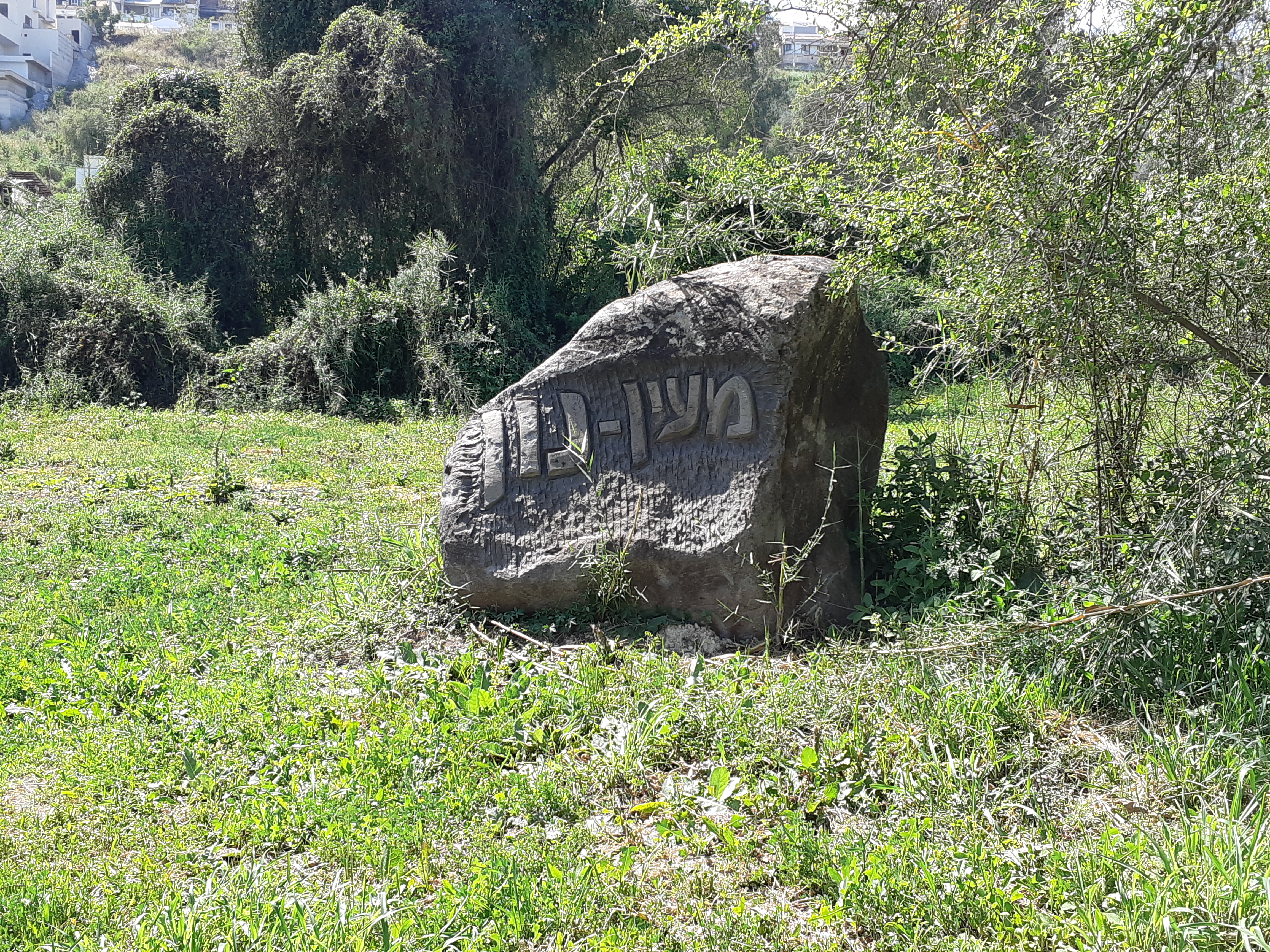 עין נון
