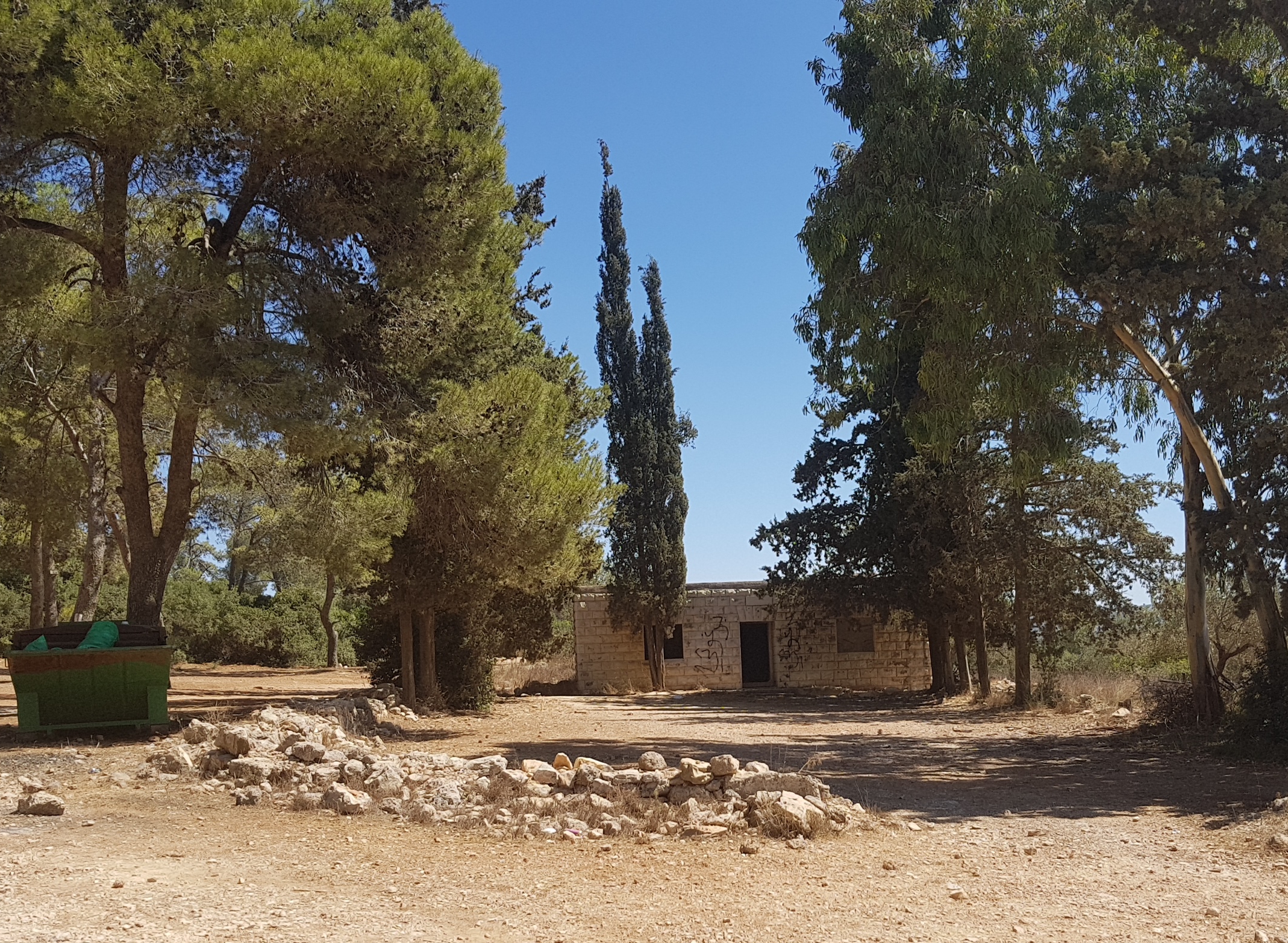 מעיין יער מטע