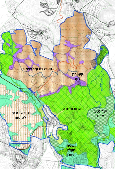 פארק אלונה