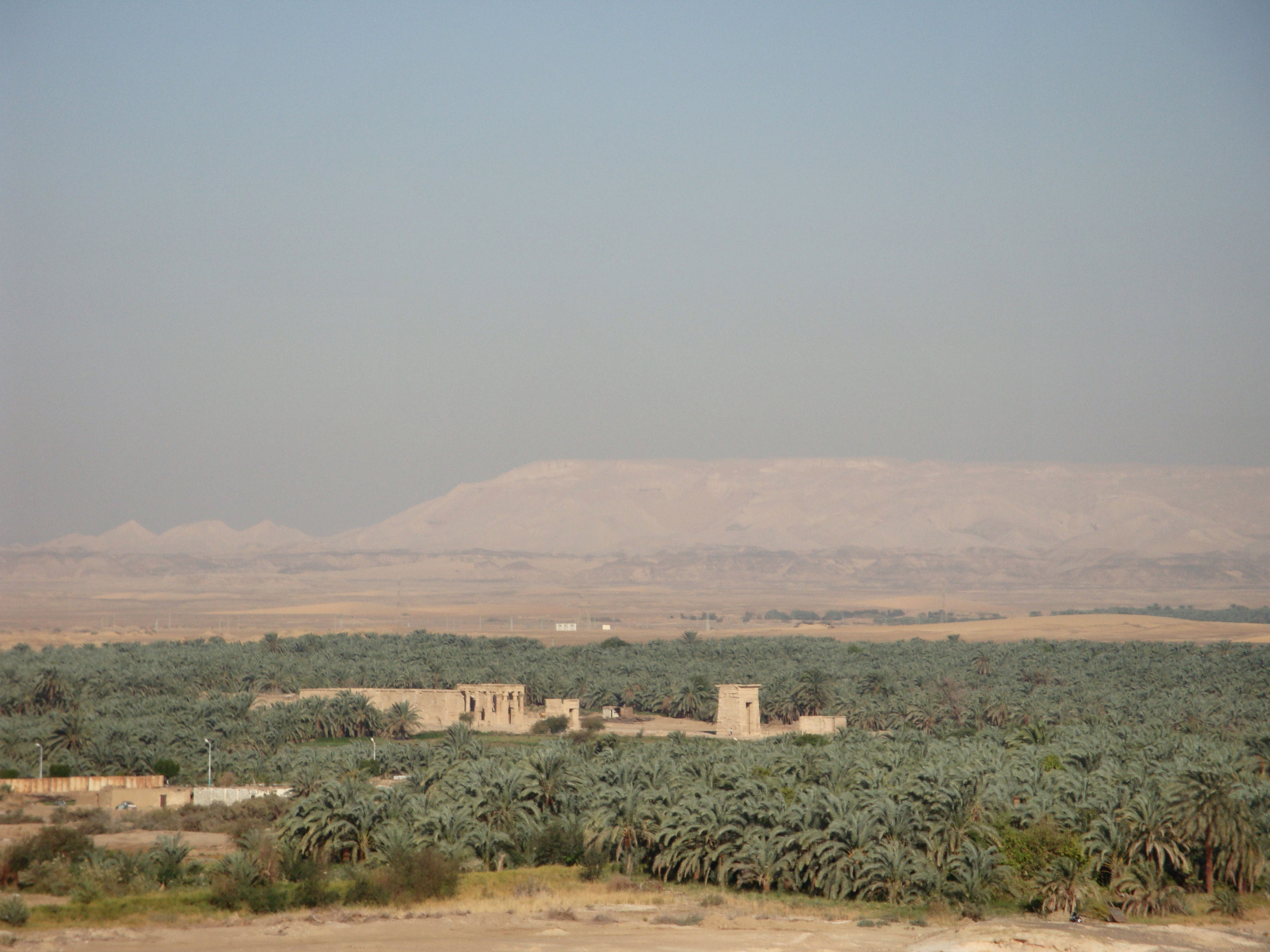 נווה המדבר חרגה