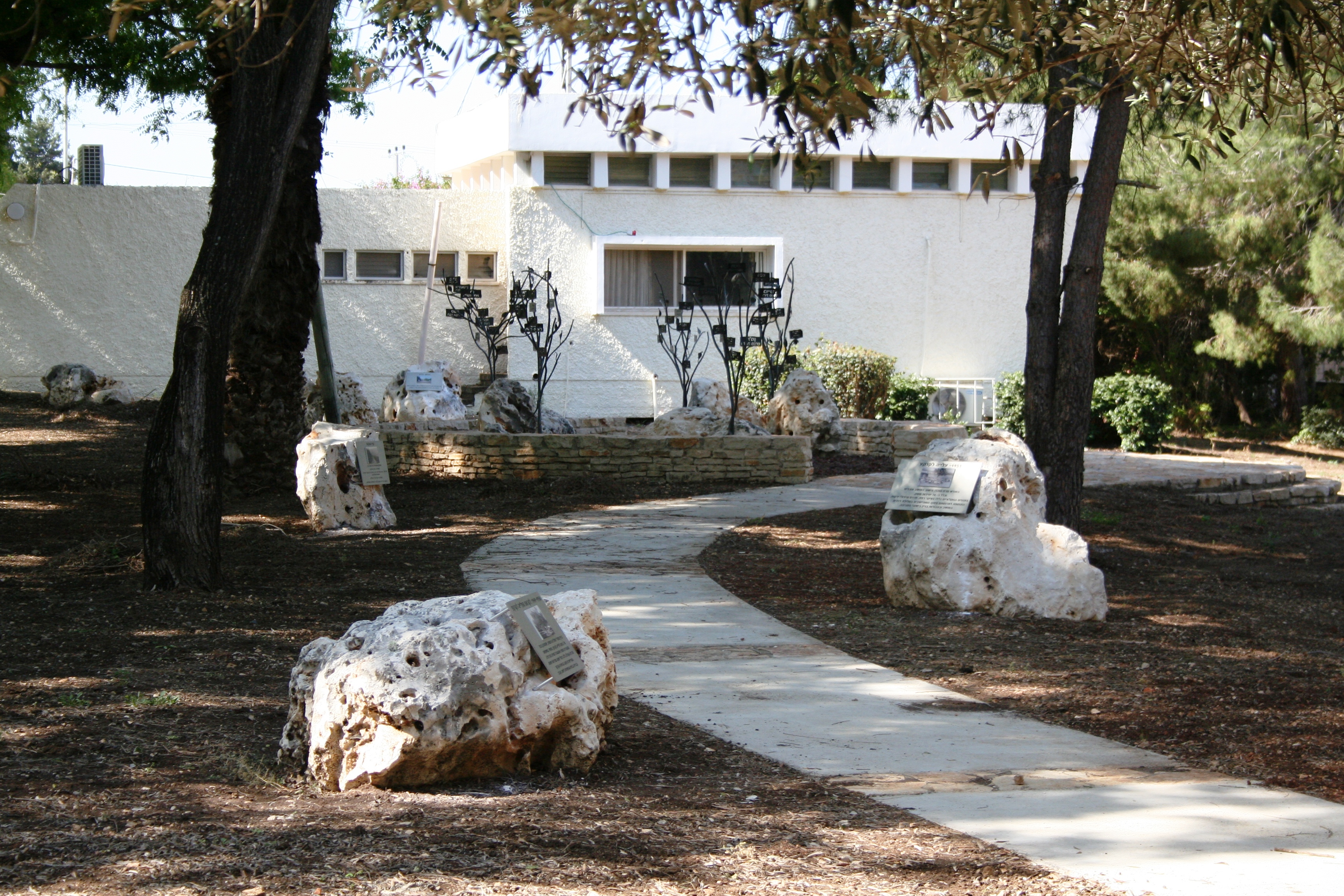 חוף בצת