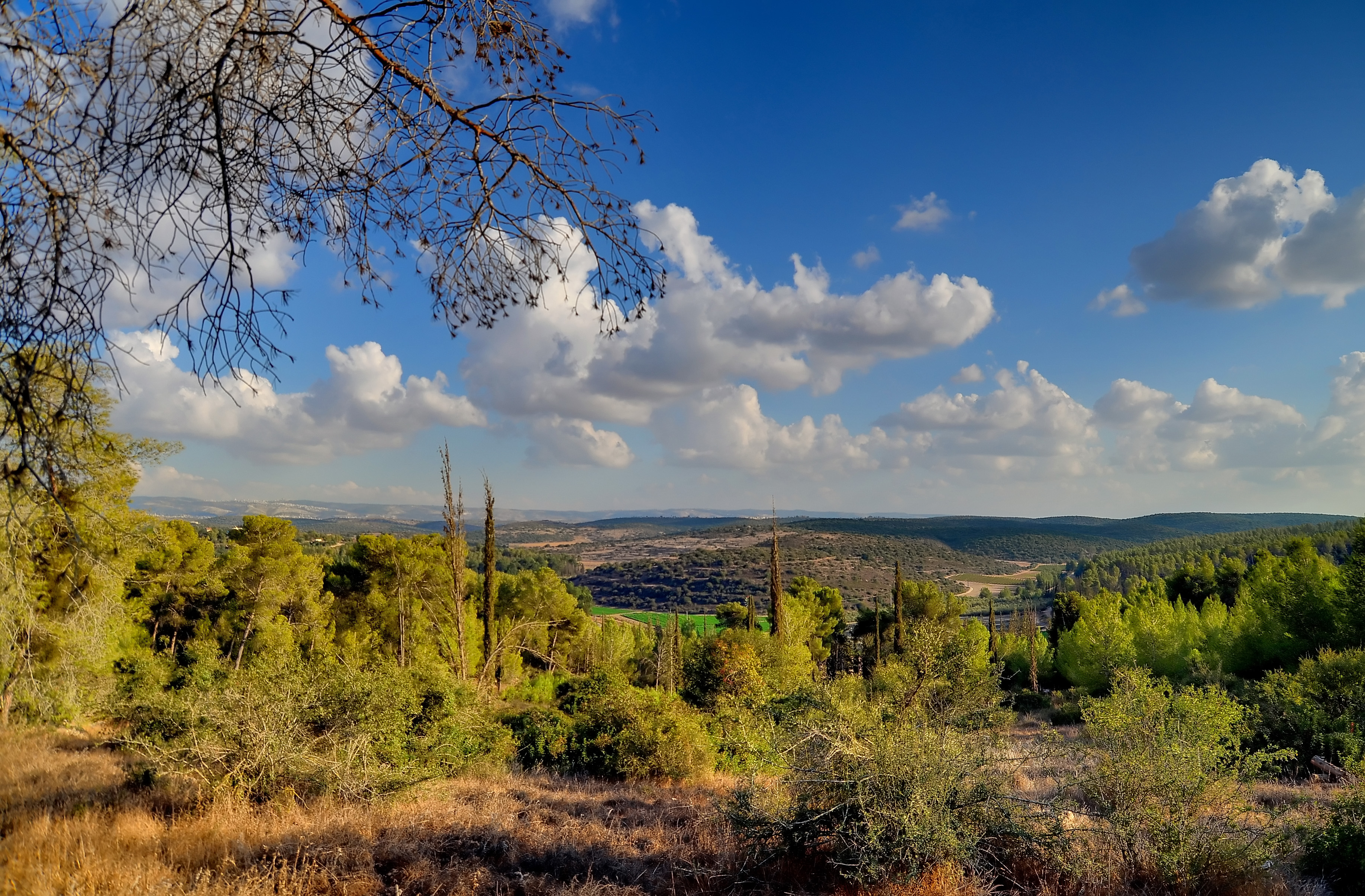 פארק בריטניה