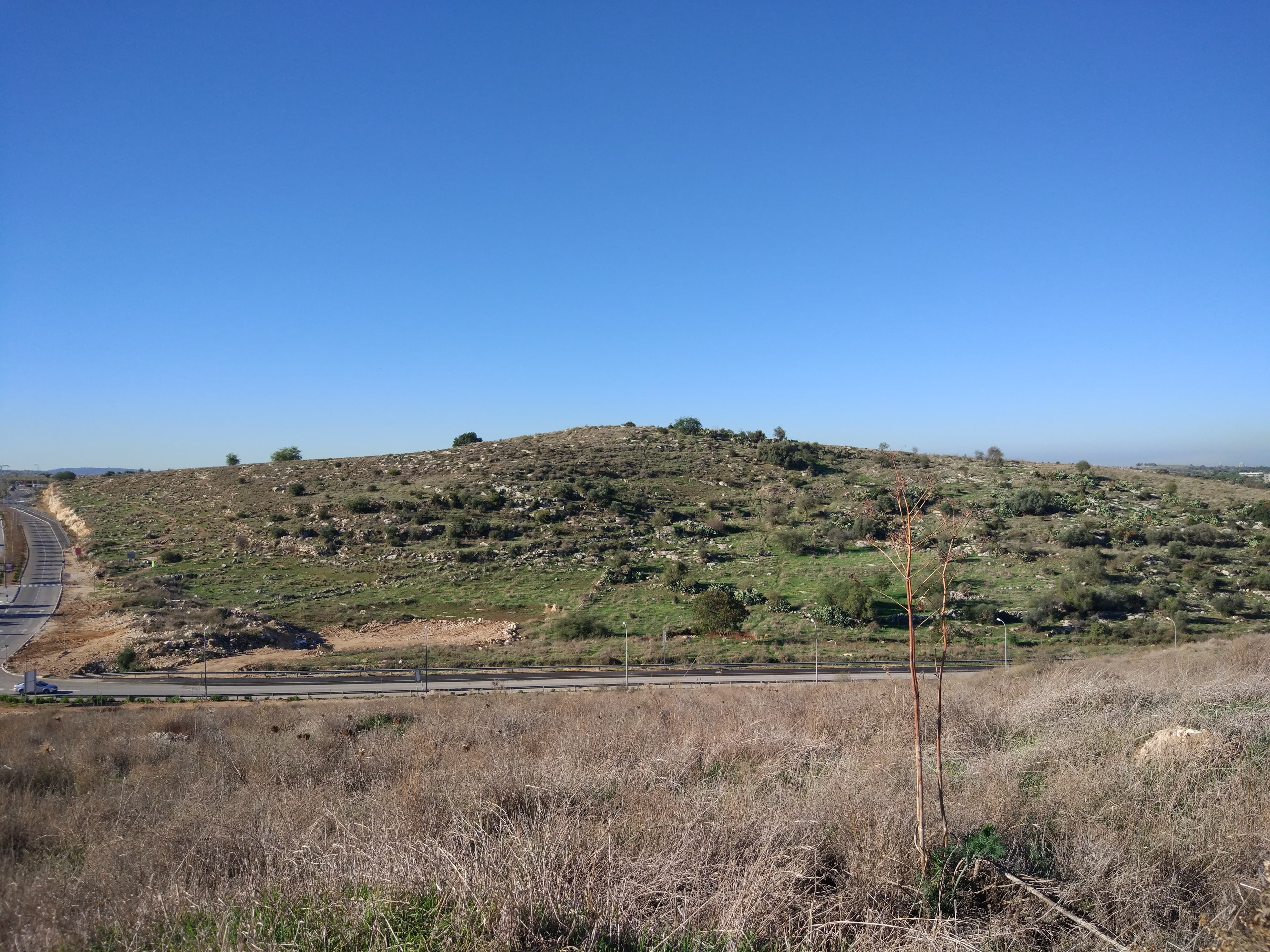 גבעת התיתורה