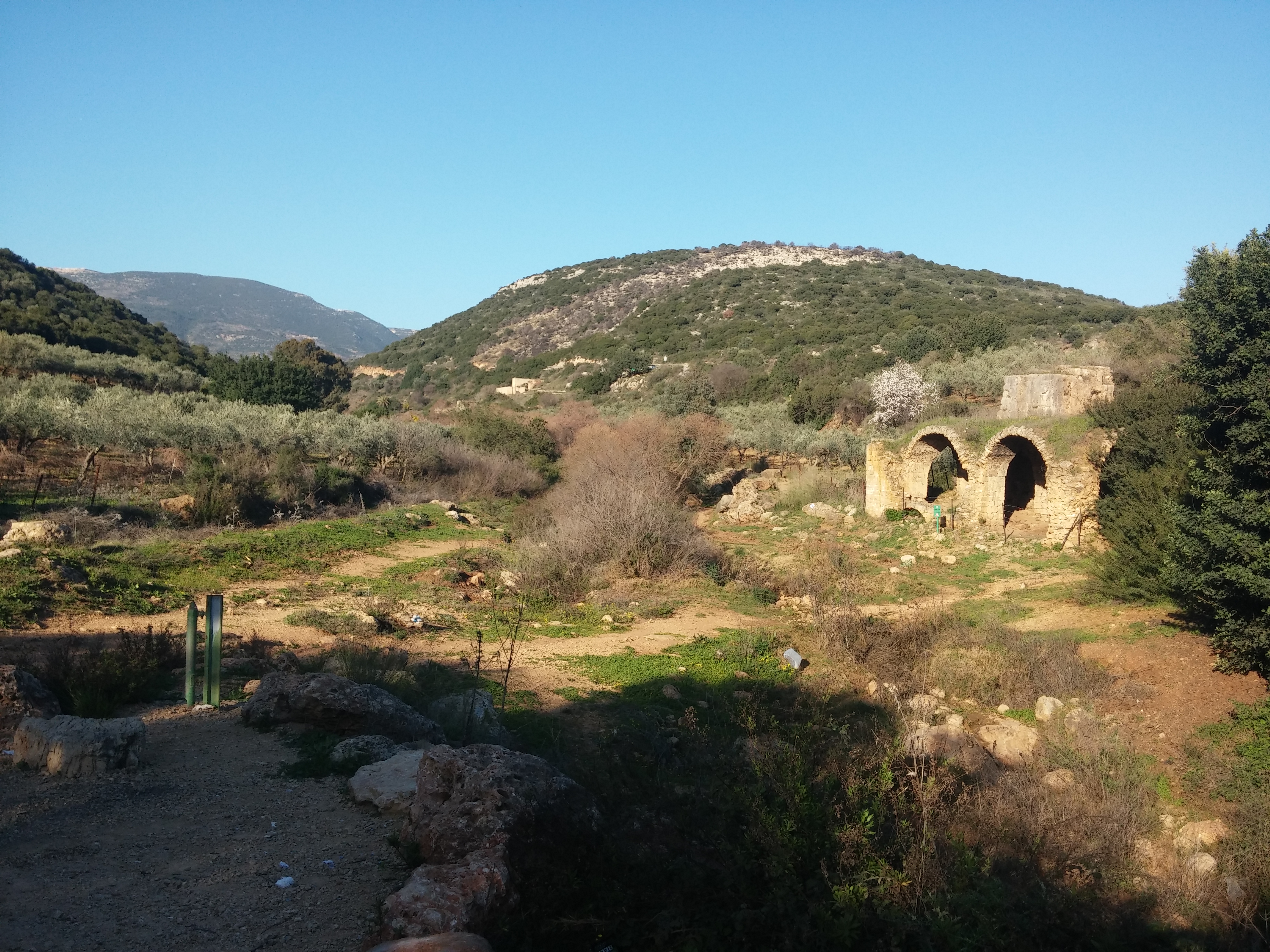 מעיינות נחל צלמון