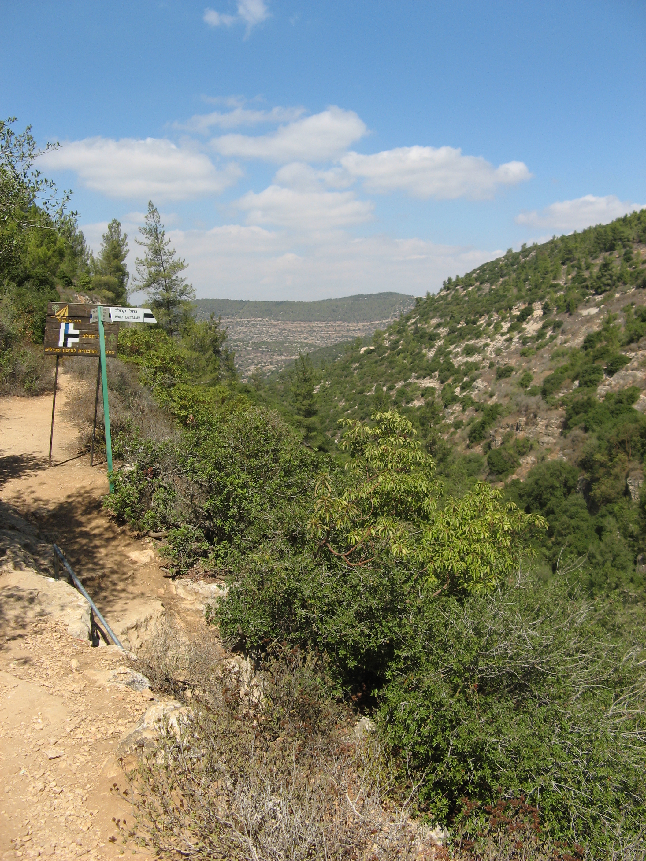 נחל קטלב