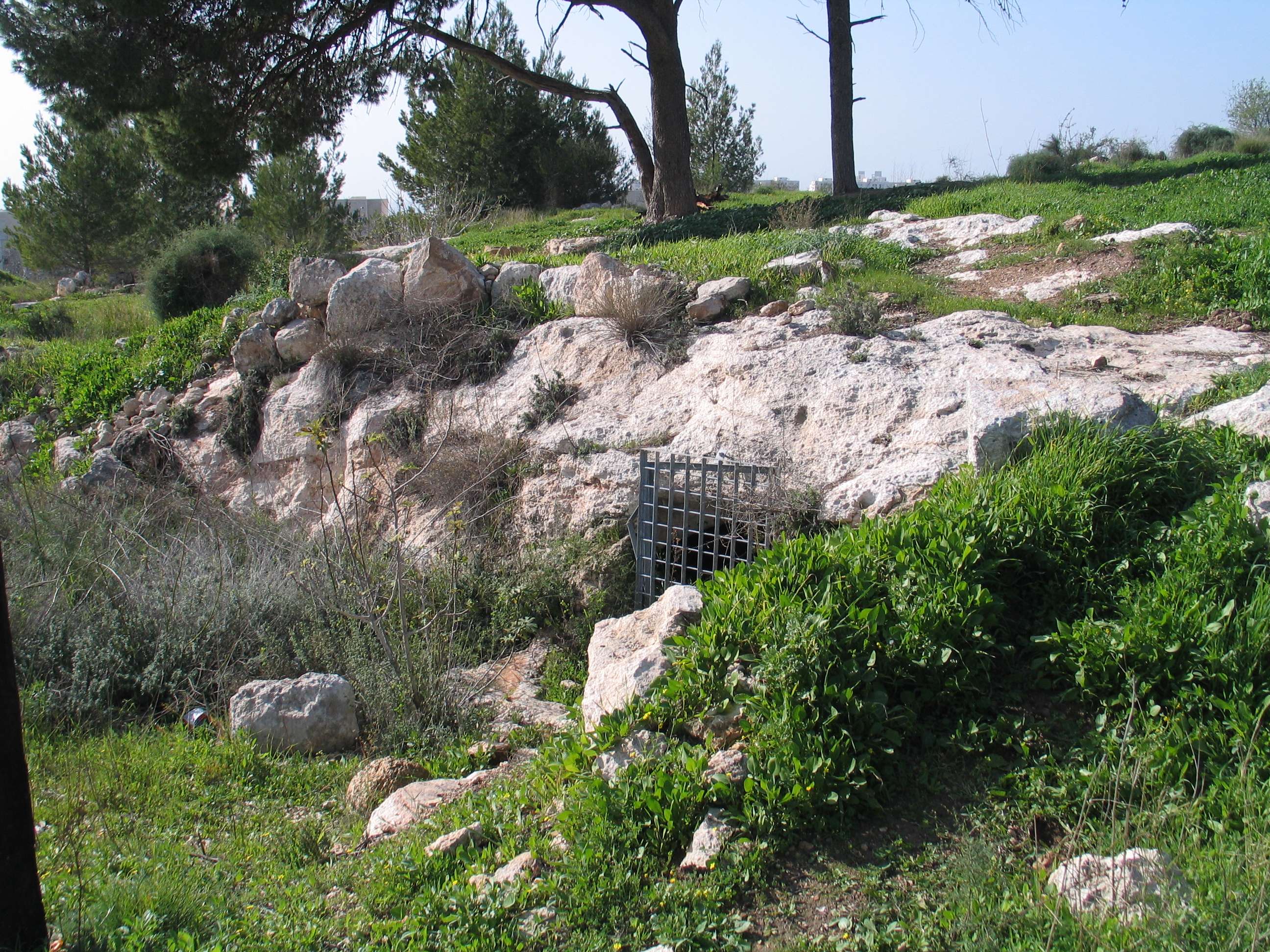 תל טיטורה במודיעין