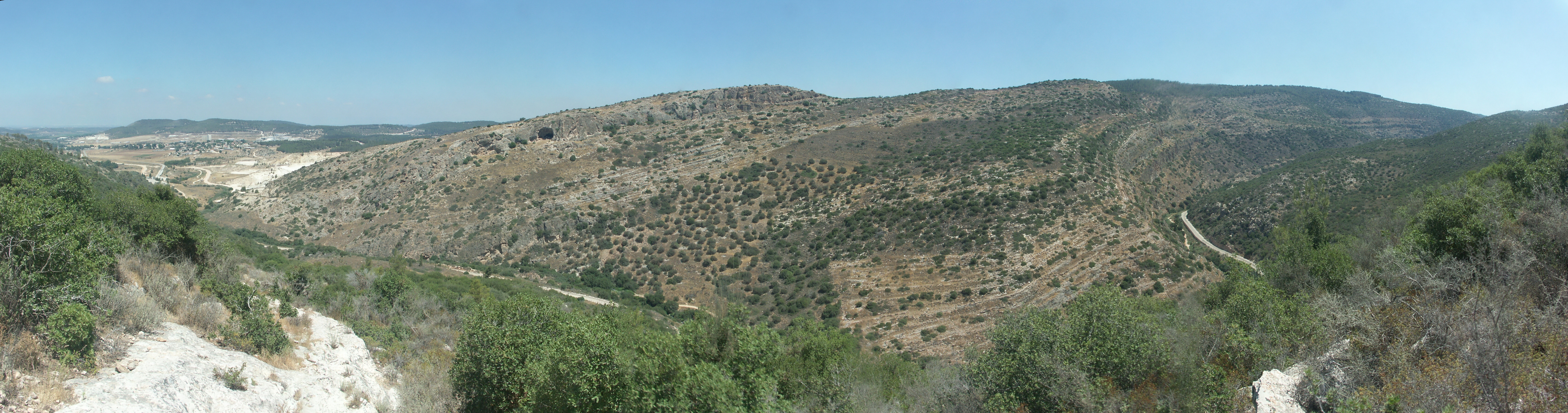 נחל שורק