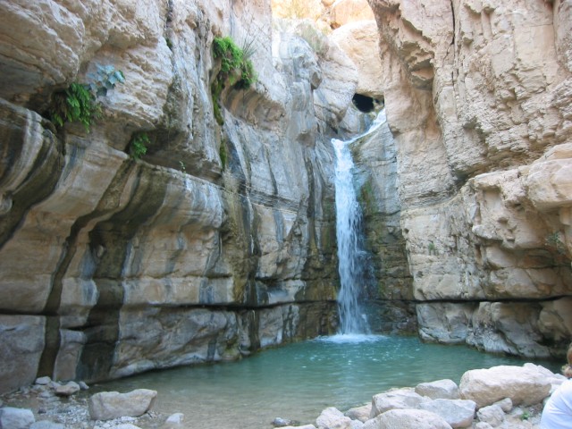 נחל ערוגות