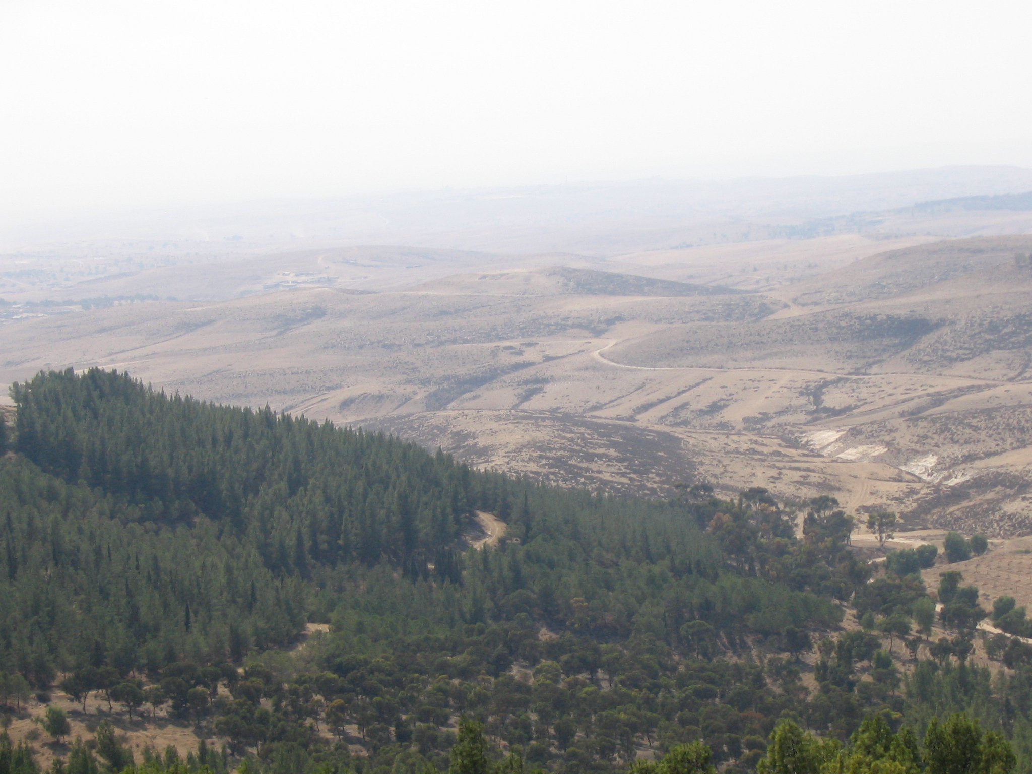 יער יתיר