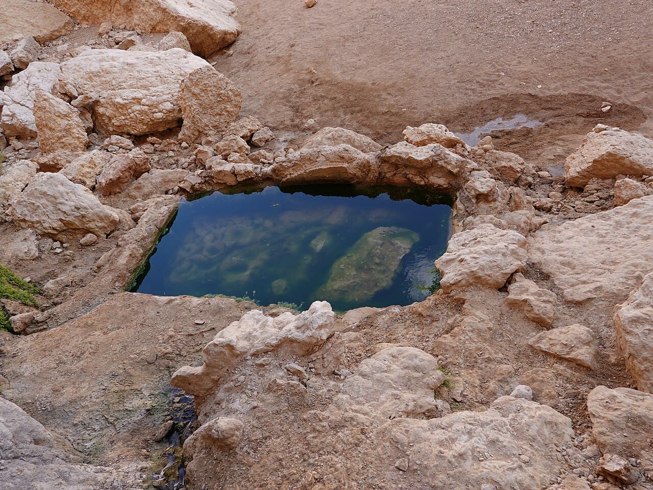עין נטפים