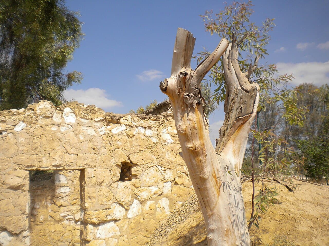 בית אשל