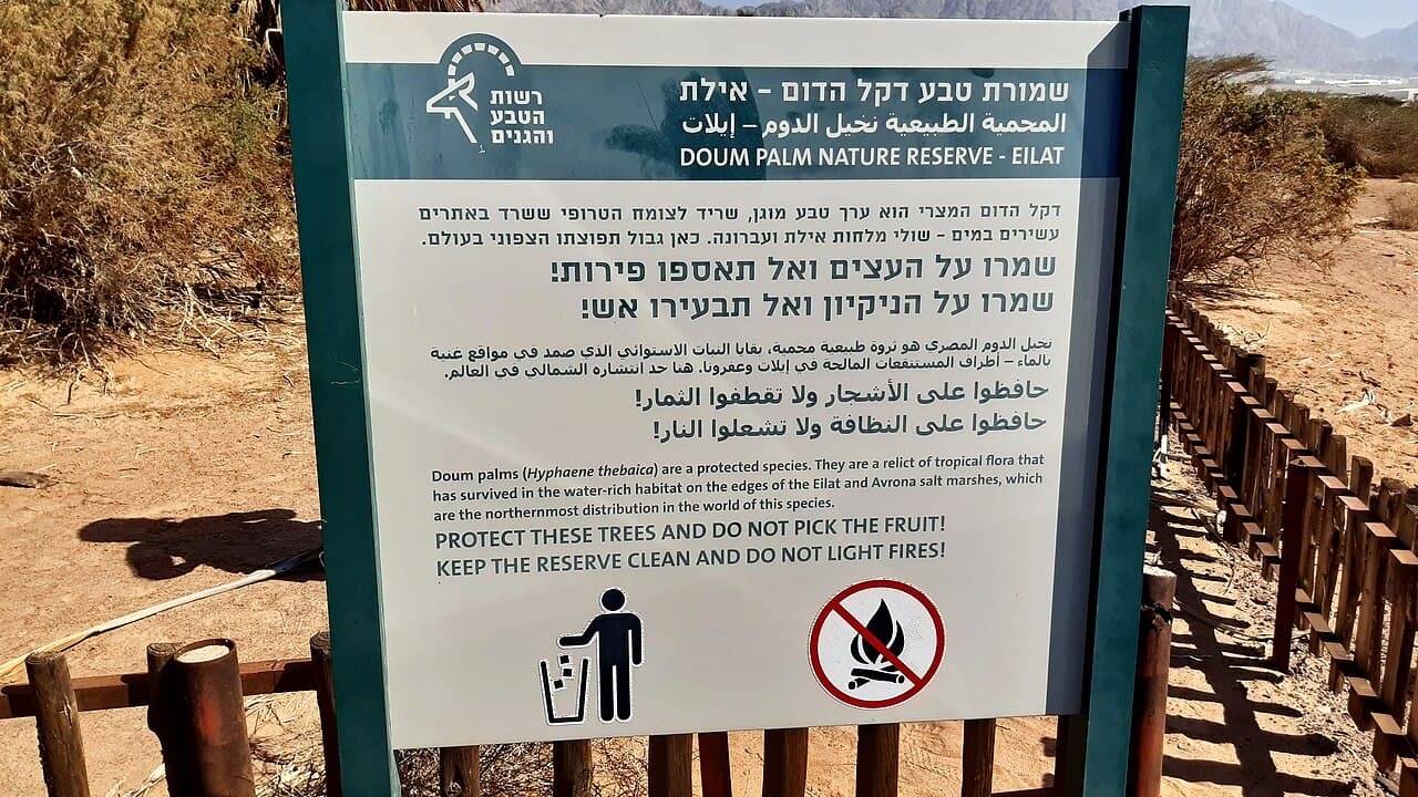 עין עברונה