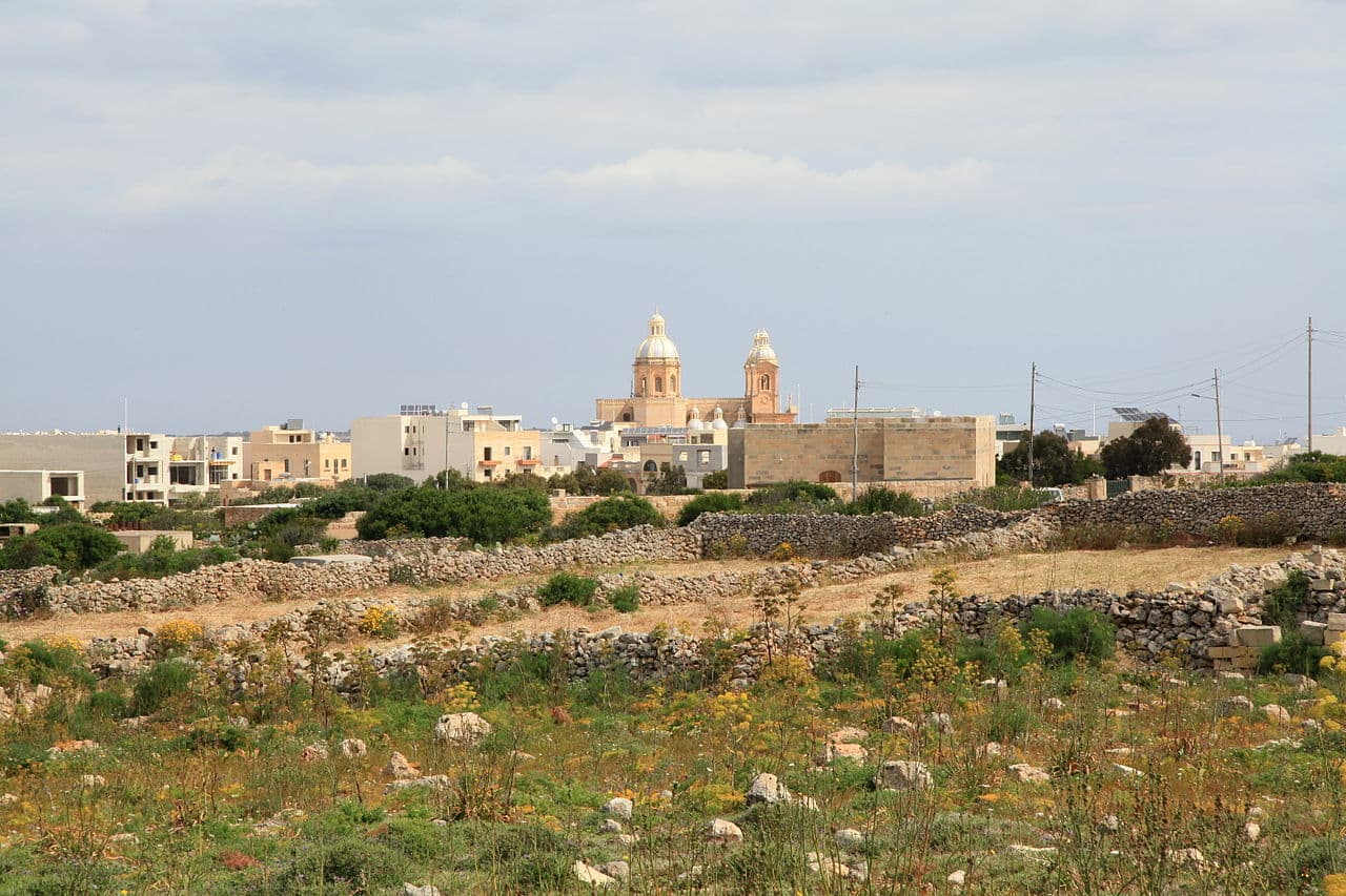 מצוקי דינגלי