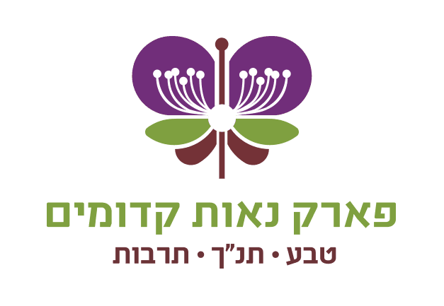 נאות קדומים